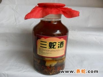 蛇酒的配方及藥用價值