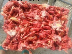 大量收購冰凍小雞