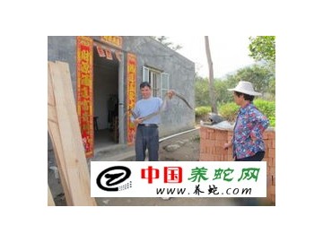 民兵營長陳利偉 養蛇盈利30萬