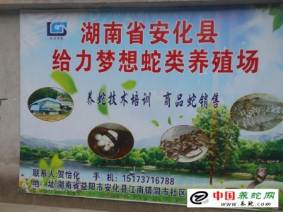 眼鏡蛇養殖場圖片