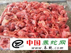 湖南境內有沒賣雞仔的，本人長期需要冰凍雞