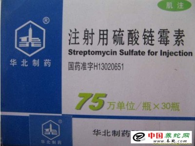 養(yǎng)殖水律蛇肺炎防治