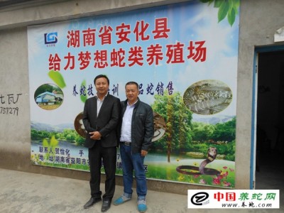 水律蛇養(yǎng)殖基地