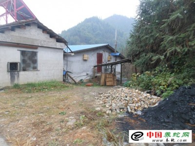 有沒有蟒蛇養殖場