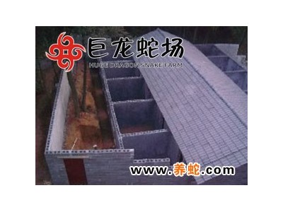 五步蛇養(yǎng)殖技術(shù)培訓(xùn)