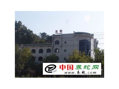 浙江五步蛇養(yǎng)殖場