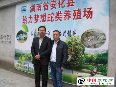 中國五步蛇養(yǎng)殖基地