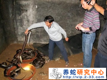 貴州有養蛇的嗎