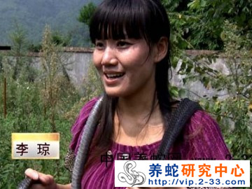 cctv8致富經養蛇 李瓊