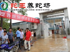 蛇王養蛇場實景