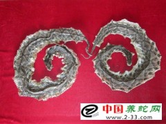 蛇干的真?zhèn)伪鎰e