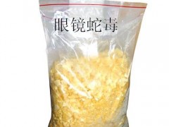 蛇毒的應(yīng)用