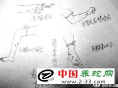 毒蛇咬傷的自救的方法