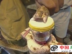 毒蛇咬傷排母的方法