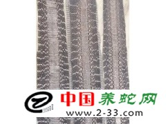 長期收購王錦蛇皮！