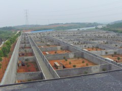 室內蛇場、室內外結合蛇場和蛇箱的建造